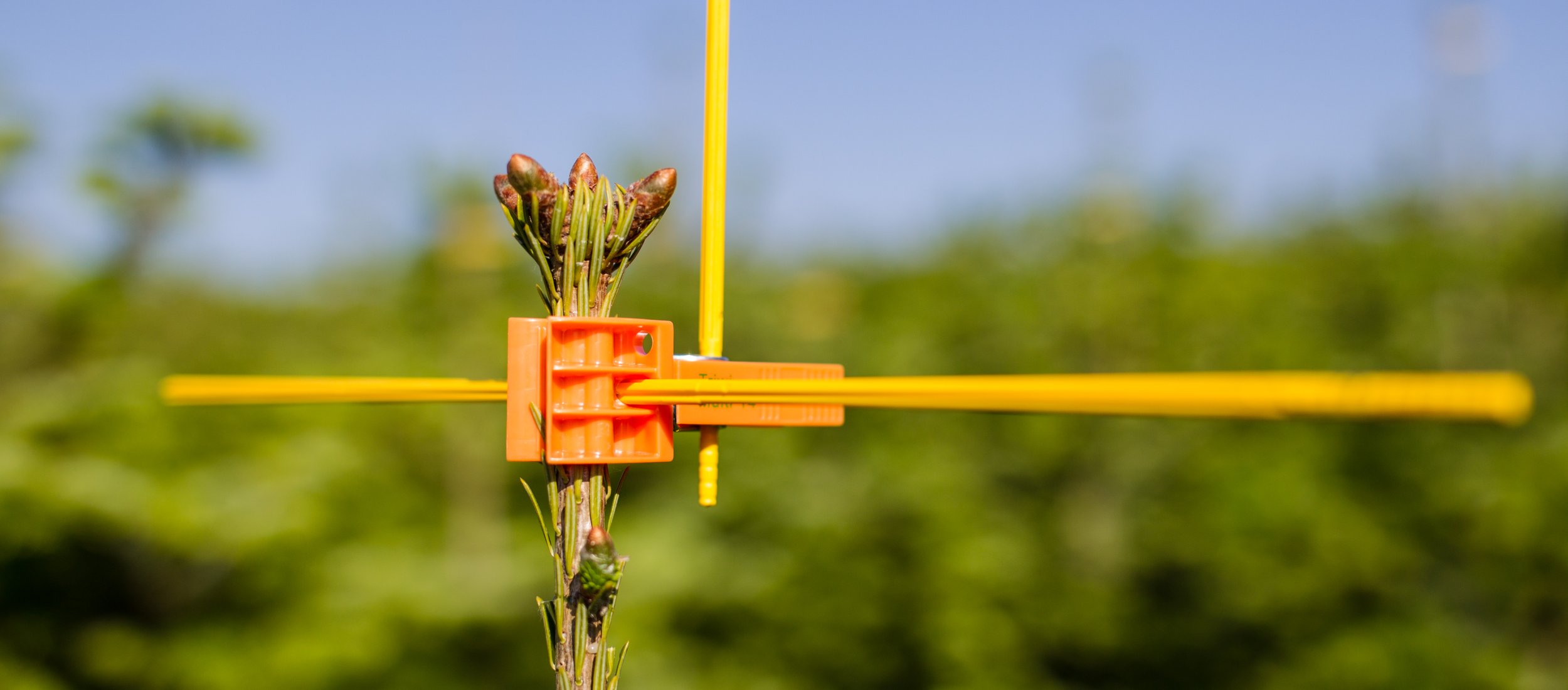 /Files/Images/Ecom/Kulturpleje og dyrkningsmetoder/E08F2095.jpg